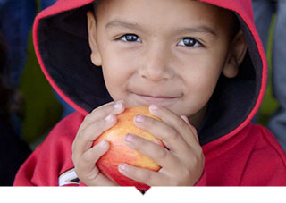 Little boy eating apple