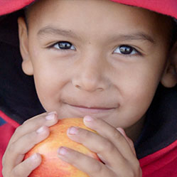 Nourishing the Neighborhood for 20 Years