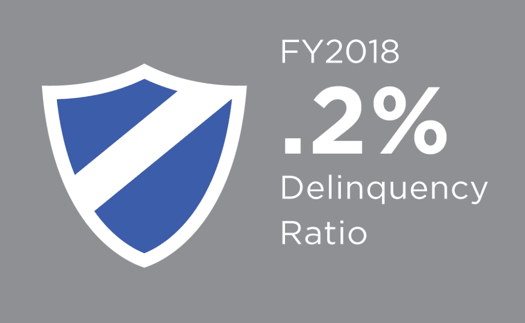 Graphic illustration FY18 0.2% delinquency ratio