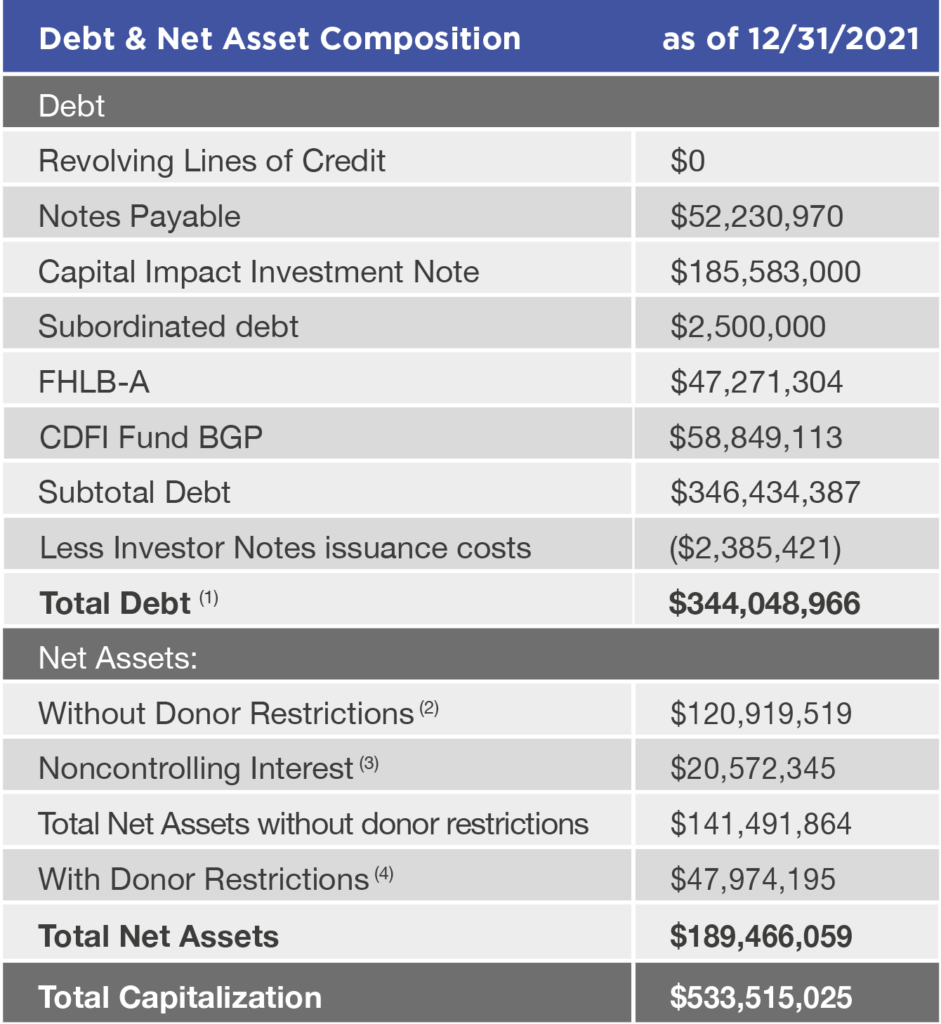 Table Graphic Showing Capital Impact's Debt and Net Asset Composition