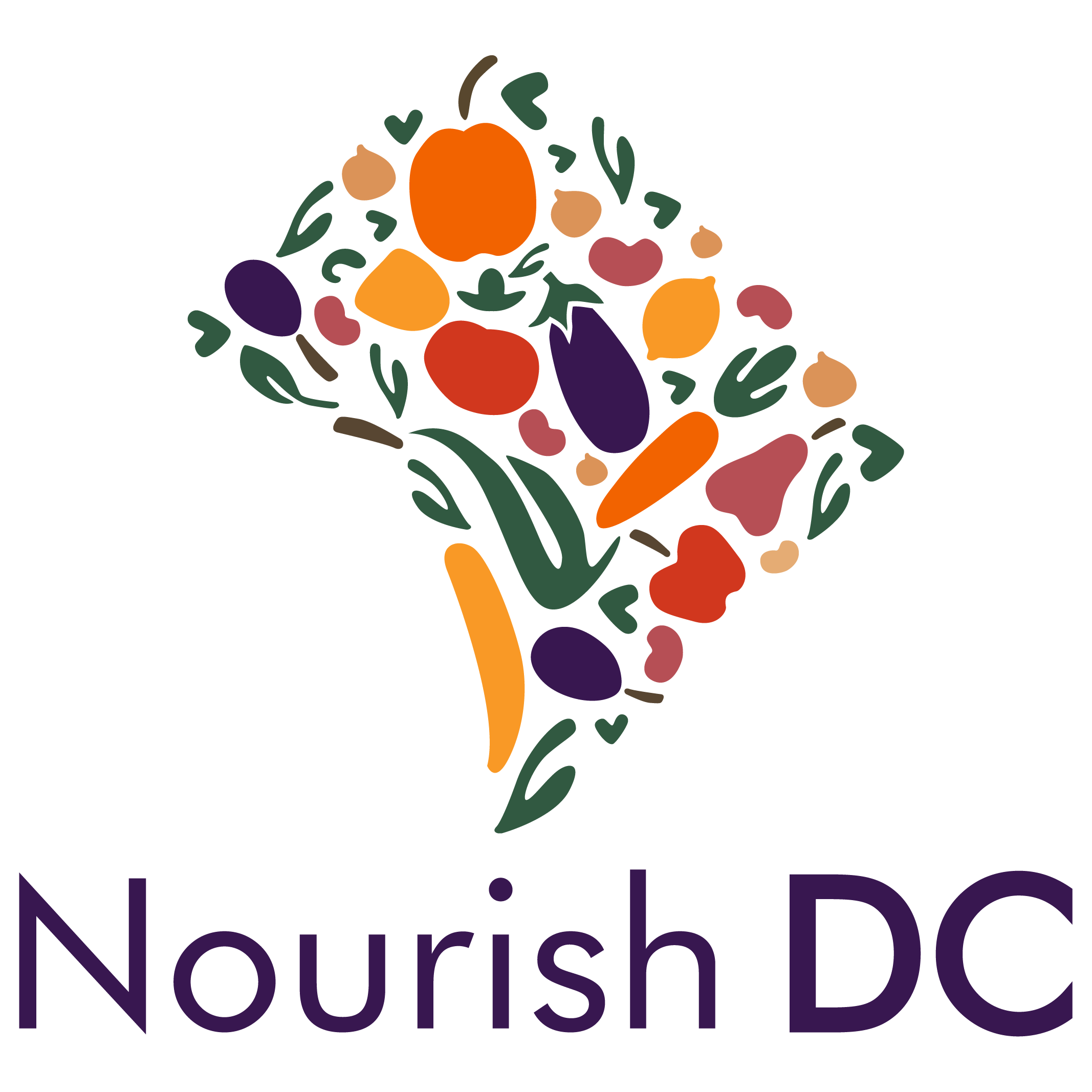 The Nourish DC logo