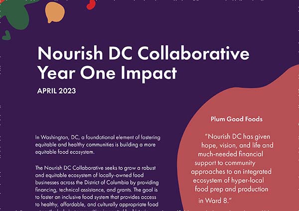 Download "Nourish DC Year 1 Report" (PDF)