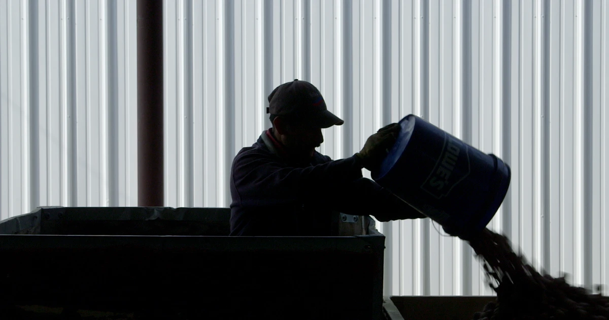 A Californian farmer sorts produce into boxes.